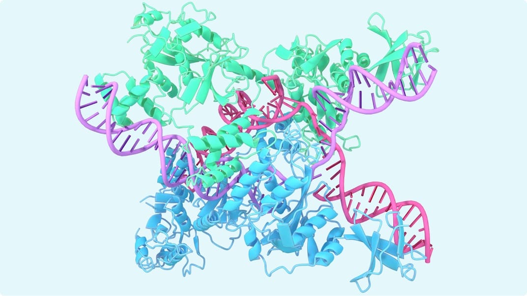 Protein Prediction AI Tool AlphaFold 3 Becomes Open-Source